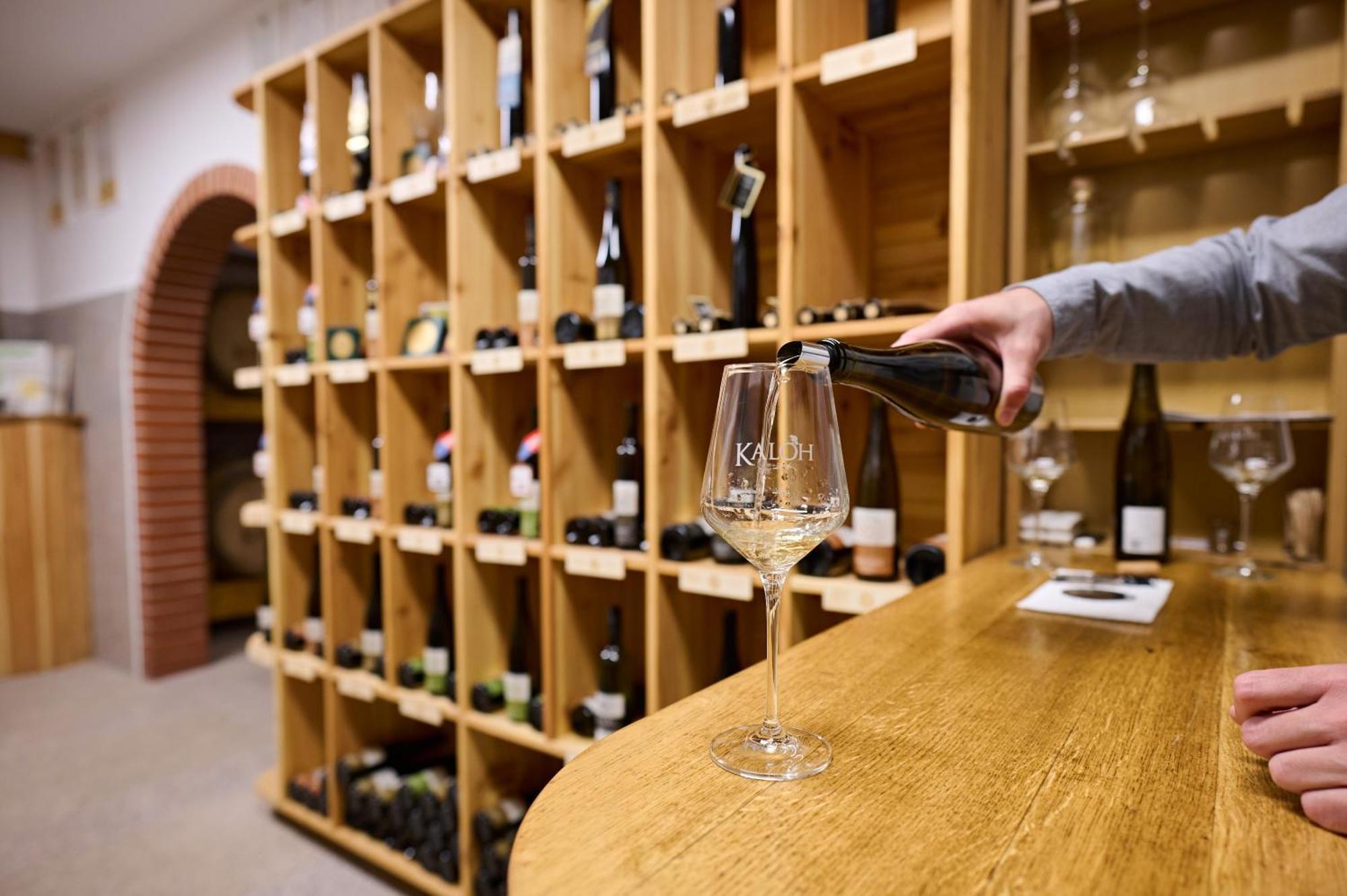 Wine House Kaloh Vila Maribor Exterior foto