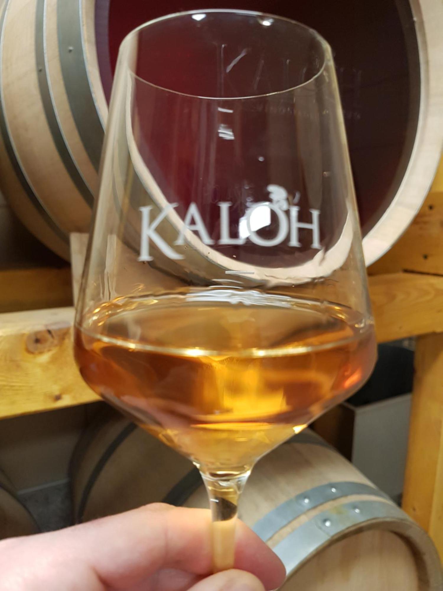Wine House Kaloh Vila Maribor Exterior foto