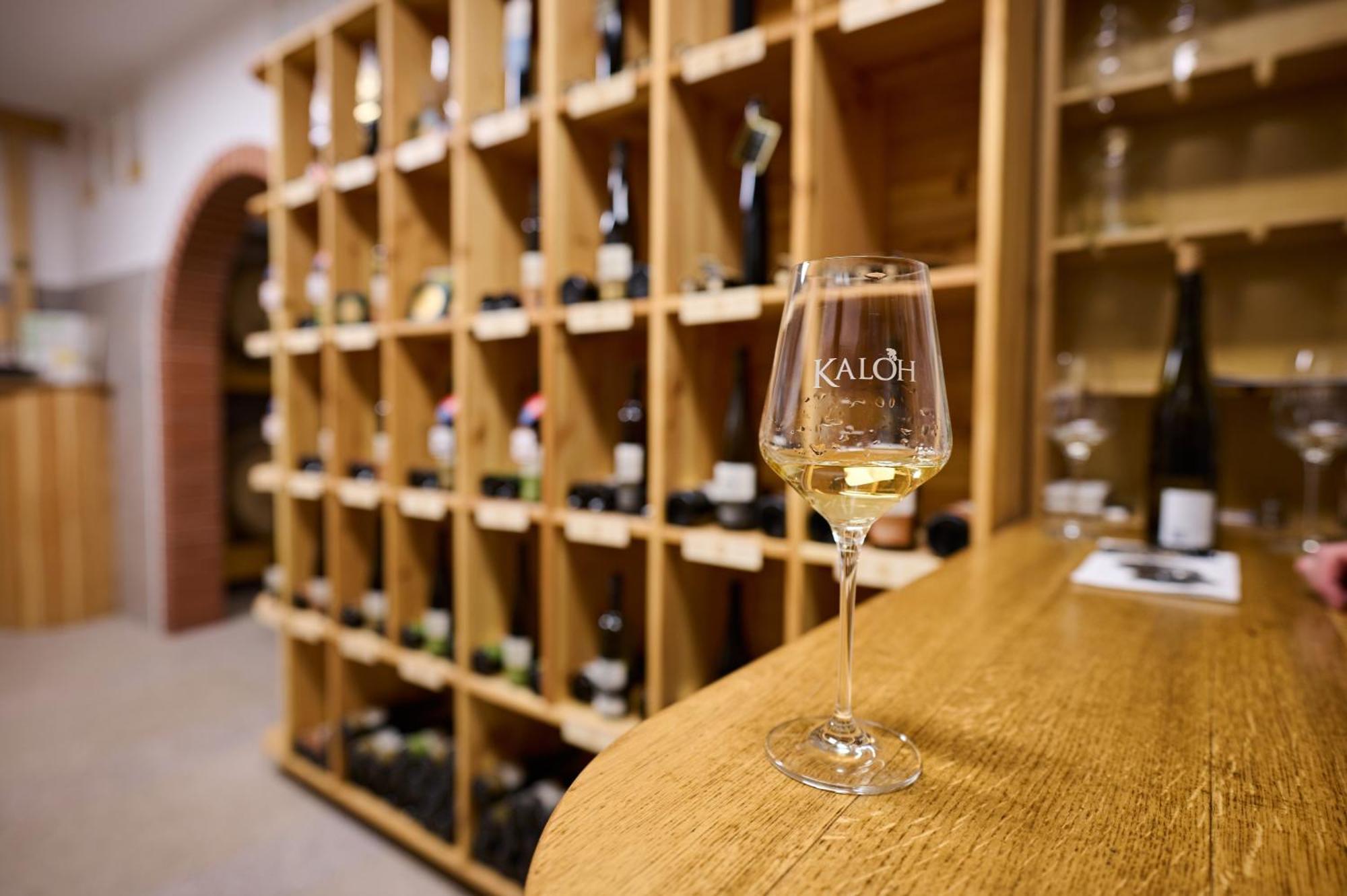 Wine House Kaloh Vila Maribor Exterior foto