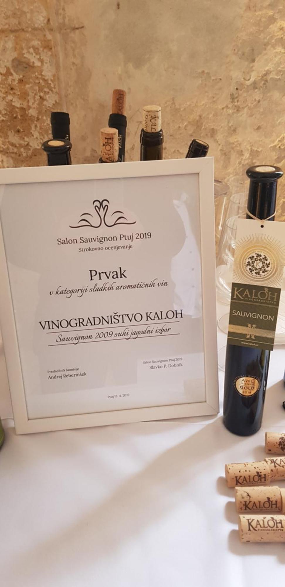 Wine House Kaloh Vila Maribor Exterior foto
