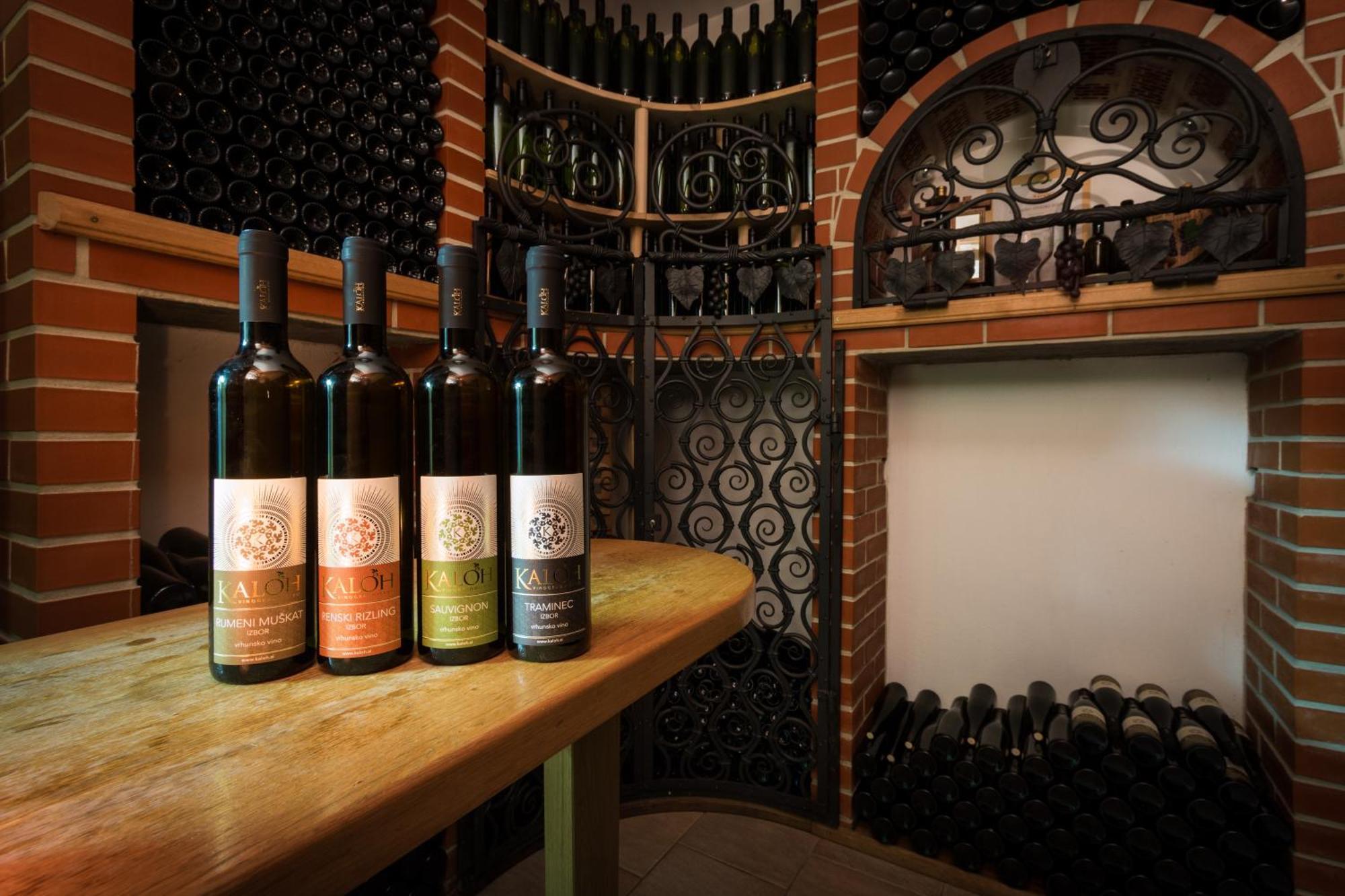 Wine House Kaloh Vila Maribor Exterior foto