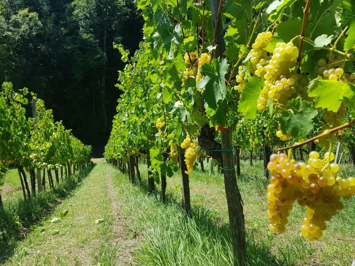 Wine House Kaloh Vila Maribor Exterior foto