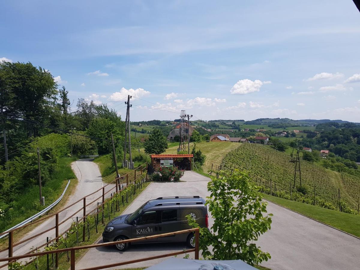 Wine House Kaloh Vila Maribor Exterior foto